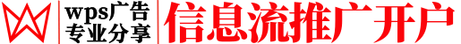 金山wps推广开户_wps广告投放代理商