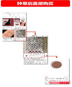 小红书推广形式